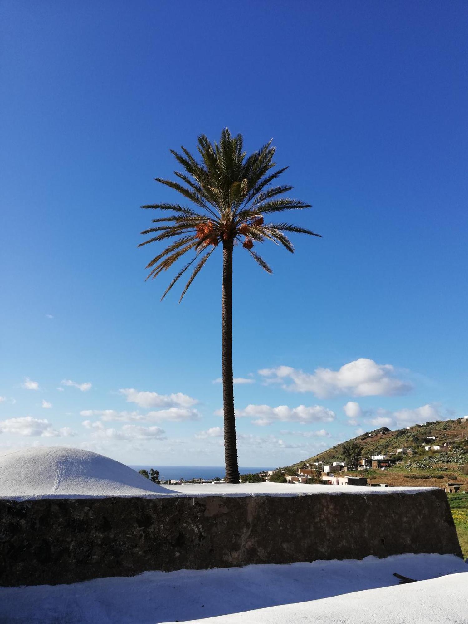 Villa Il Mulino Di Scauri à Scauri  Extérieur photo